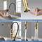 Kibi Engel Single Handle Pull Down Kitchen Faucet KKF2014BG - alternate 7